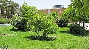 هتل جهانگردی فیروزآباد