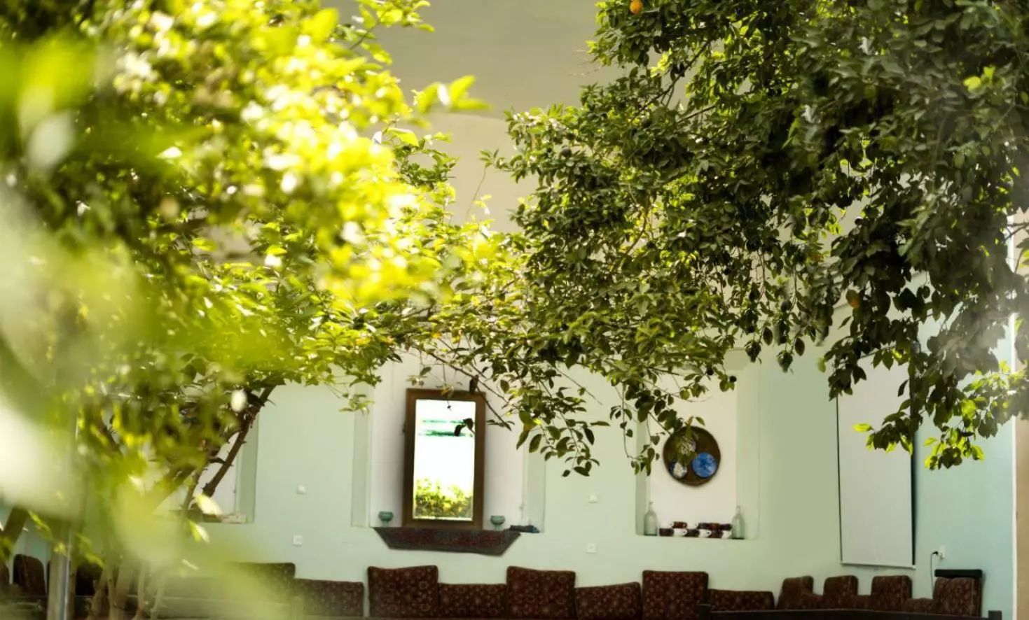 محوطه