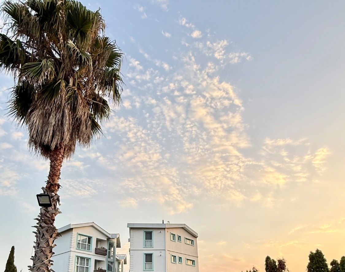 تصویر اول هتل باروژ تنکابن